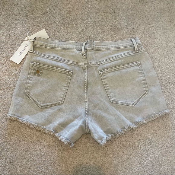 Driftwood Goldie Short - Taupe Boogie Nights Floral Stretch Denim, NWT size S - Picture 2 of 3